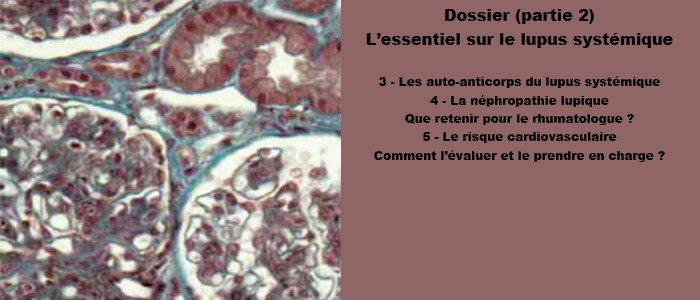dossier_couv_master