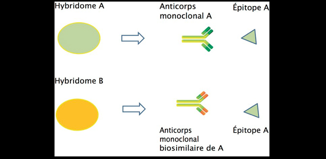 biosimilaire