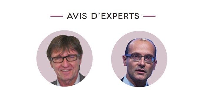 Rh116-Avis experts